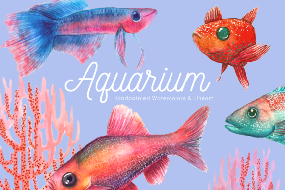 Aquarium - Illustration Set
