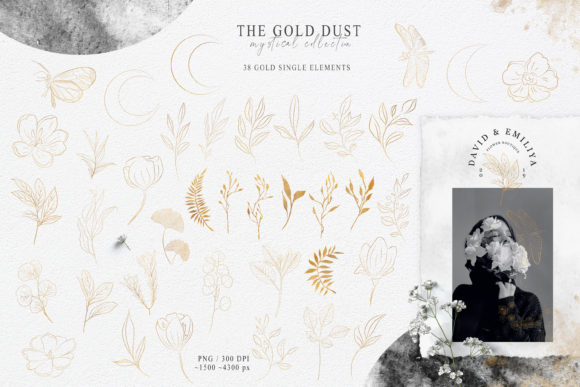 Botanical Gold Line Art Clipart