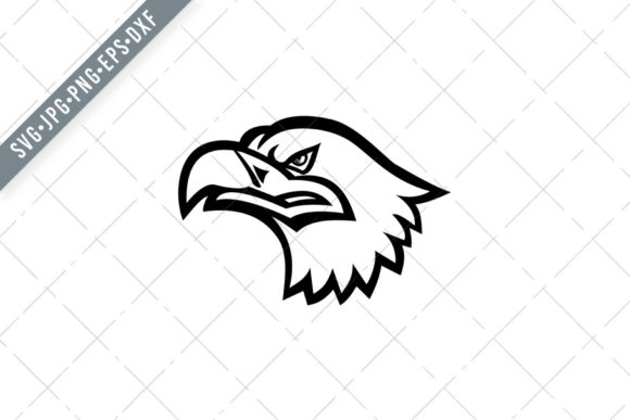 Head of a Eurasian Sea Eagle SVG DXF