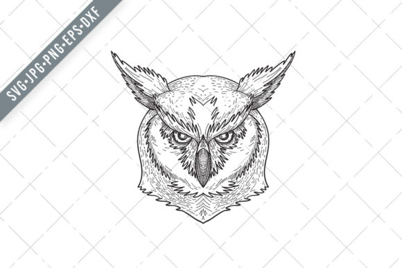 Head of Angry Great Horned Owl Tiger Owl: A Symbolic Lens for Assertive Clarity and Boundary Setting
