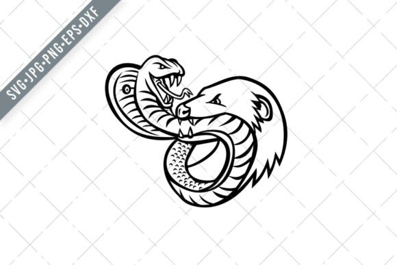 King Cobra Snake and Mongoose Fighting