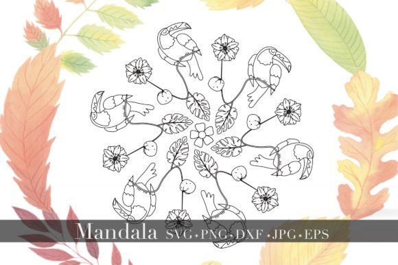 Mandala - Bird Tropical Forest