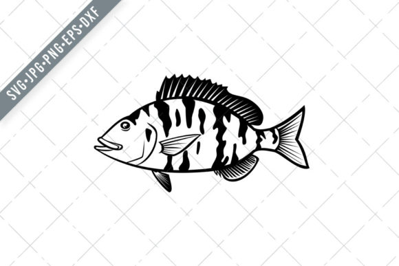 Pigfish: Orthopristis chrysoptera Explained